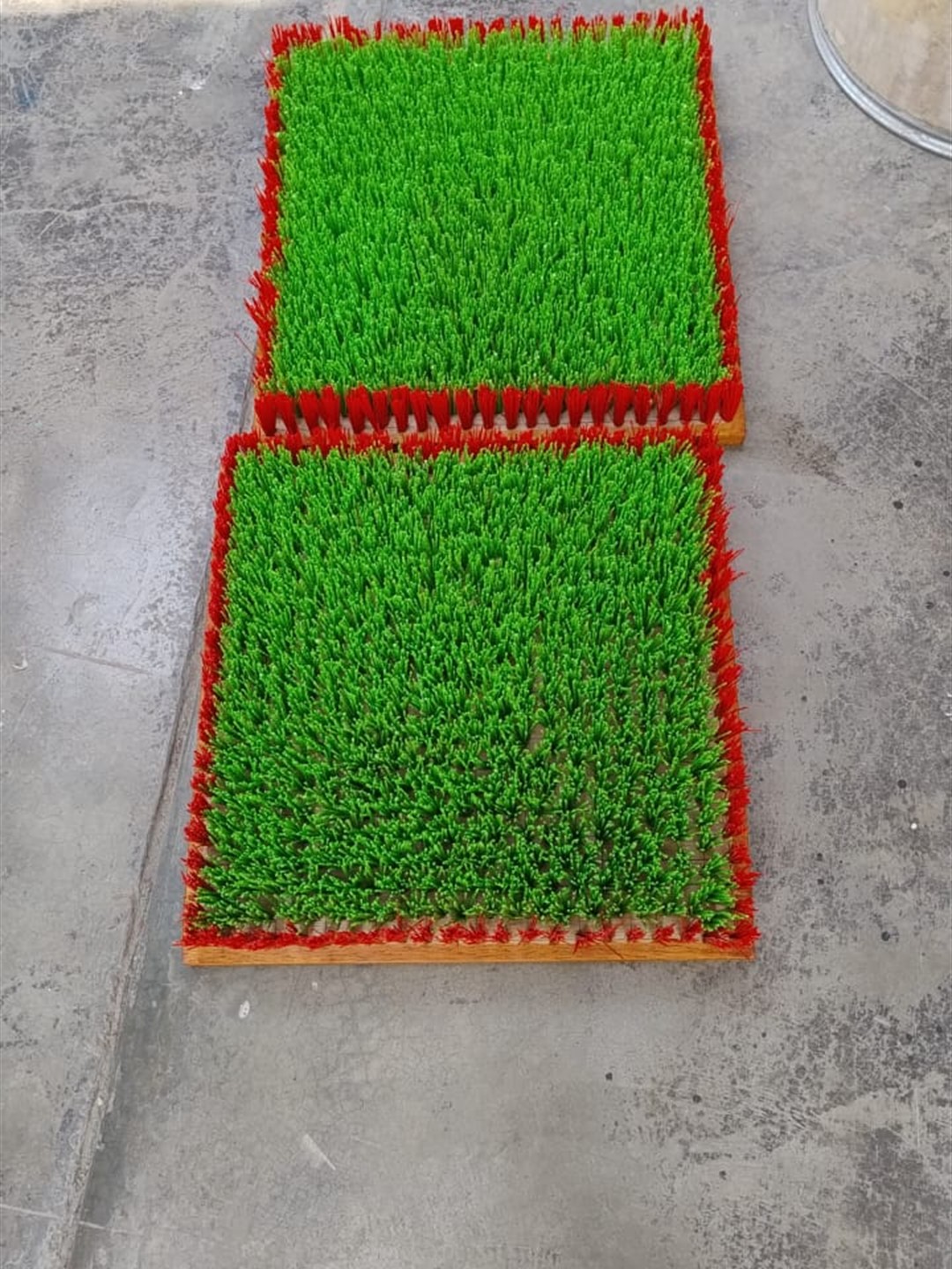Limpia calzado