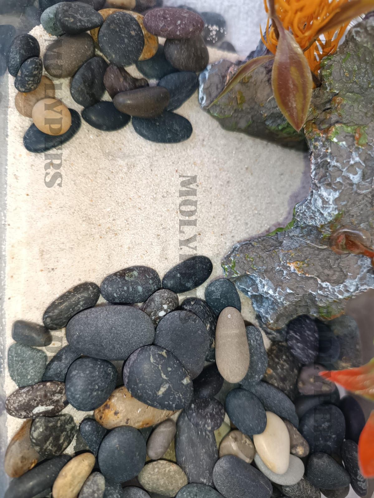 Portafolio 4